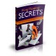 Blog Flipping Secrets Ebooks And Videos With MRR